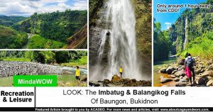 Baungon