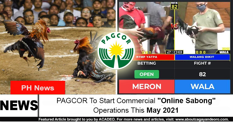 Pagcor To Start Commercial Online Sabong Operations This May 21