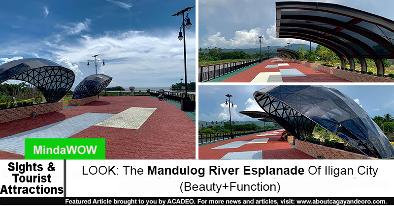 Mandulog River Esplanade