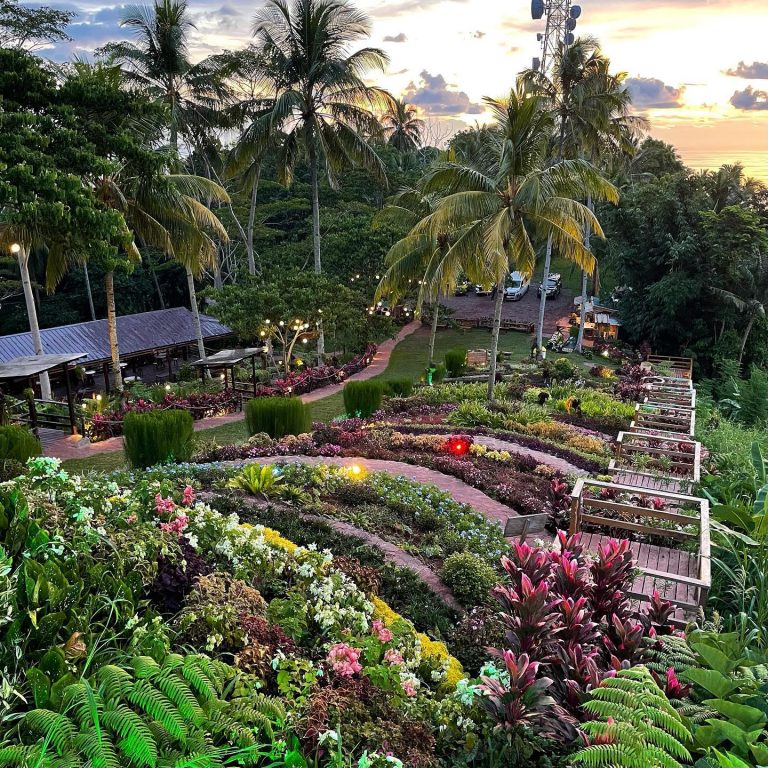 More Photos The Halseyle Hill Of Sugbongcogon Misamis Oriental 0624