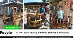 bamboo sidecar