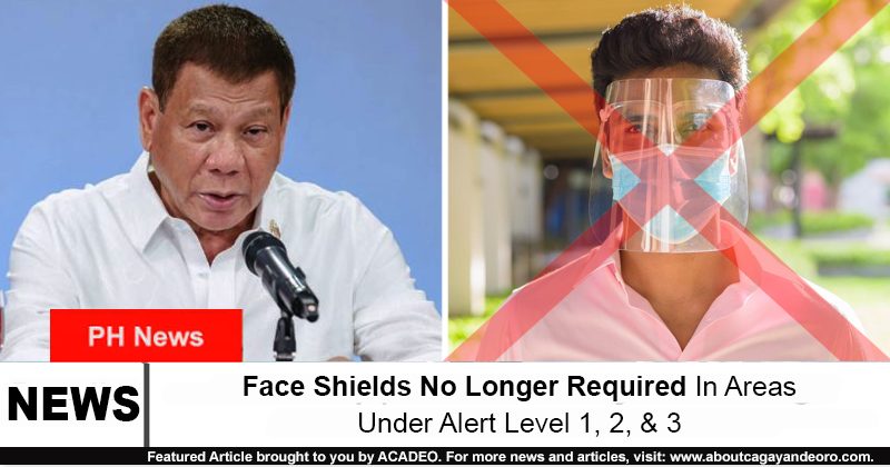 Face Shields