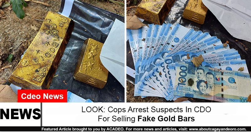fake gold bars