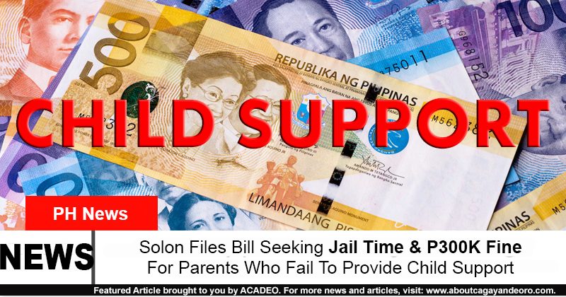 Child Support