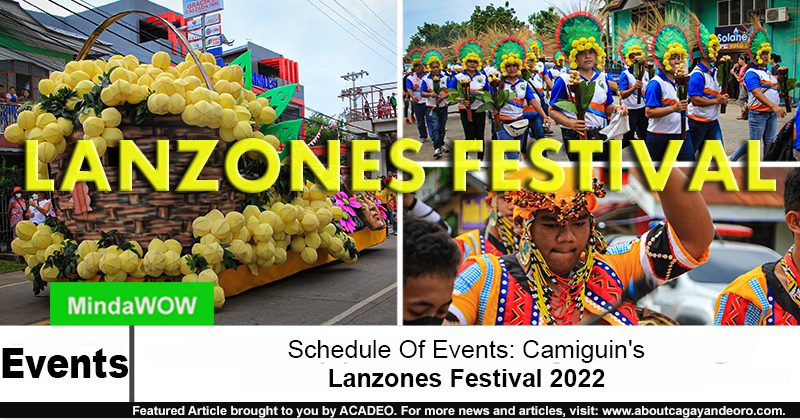 Lanzones Festival