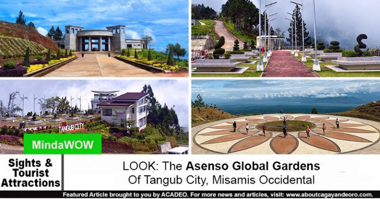 Asenso Global Gardens